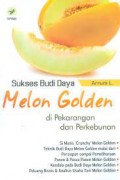 Sukses Budi Daya Melon Golden di Pekarangan dan Perkebunan