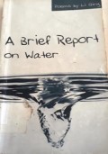 A BRING REPORT ON WATER