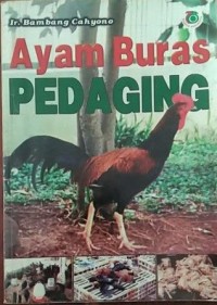 AYAM BURAS PEDAGING