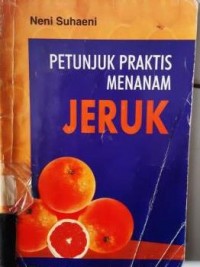 Petunjuk Praktis Menanam Jeruk